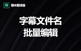 字幕文件名批量编辑