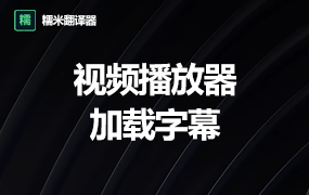 如何直接用播放器加载字幕文件？